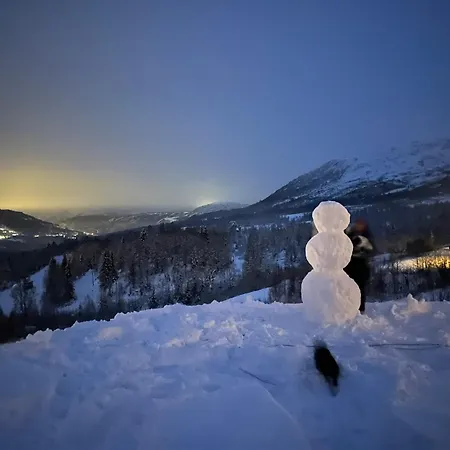 Log In Hodlekve With Mountain View * Sogndal