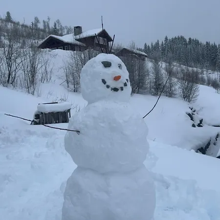 Log In Hodlekve With Mountain View Sogndal