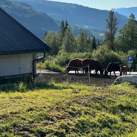 Log In Hodlekve With Mountain View Semesterbostad Sogndal