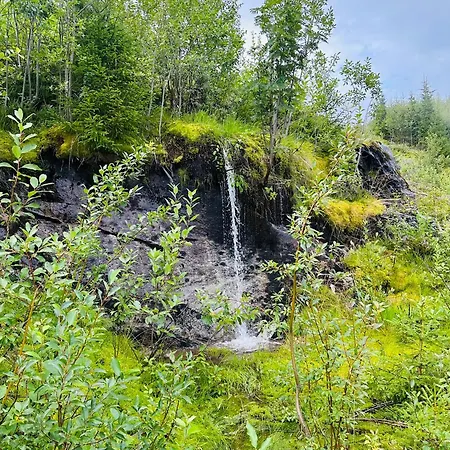 Semesterbostad Log In Hodlekve With Mountain View
