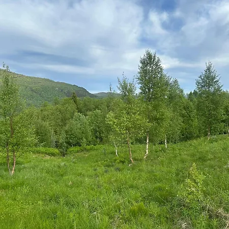 Log In Hodlekve With Mountain View Sogndal